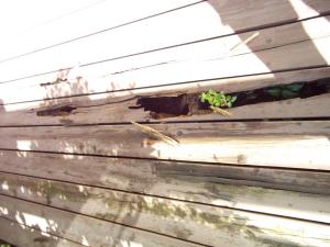 DSCF2959 befoe3 ï½¼ï¾ï½±ï¾