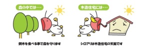 シロアリの意義