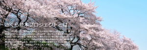さくら並木プロジェクト