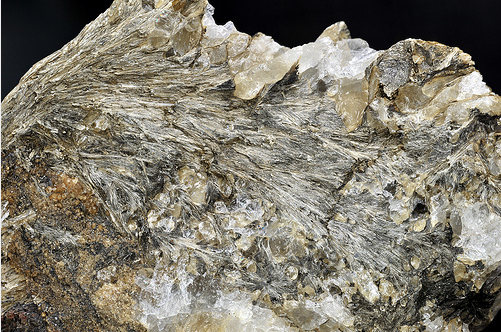 ã±ã¤é¸å¡©