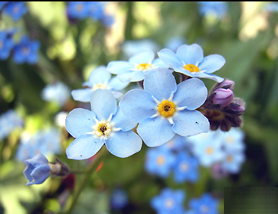 ãã¯ã©ã¹ãå¿å¿è