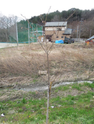 æ¡ä¸¦æ¨ãã­ã¸ã§ã¯ãï¼