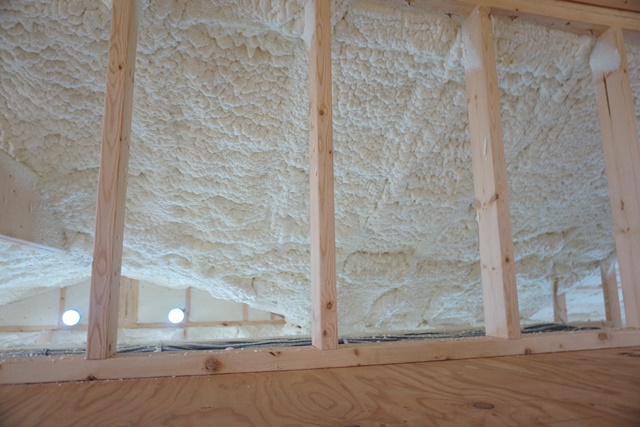 é¢é£ç»å