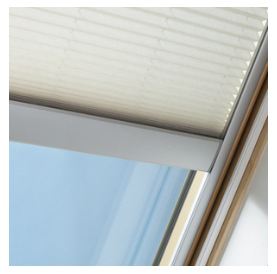 ãã©ã¤ã³ã