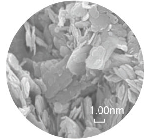 ã¨ã³ã«ã©ãããå­